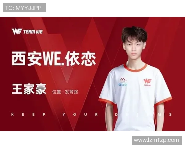 王者荣耀评论WE快攻战术的优缺点分析与战局影响探讨